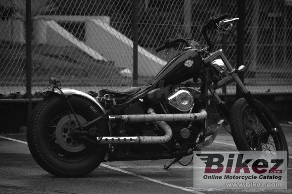 1998 Harley-Davidson FXSTB Softail Night Train photo